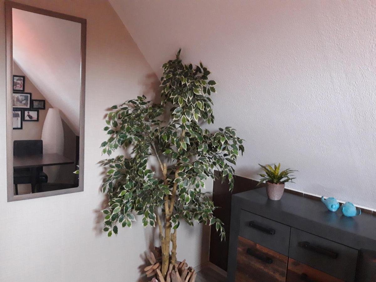 Ferienwohnung Dein Ostseetrip Ostseebad Kühlungsborn Esterno foto